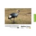 PermaJet Matt Plus 240gsm InkJet Paper (Choose) PermaJet Matt Plus 240gsm InkJet Paper (Choose)